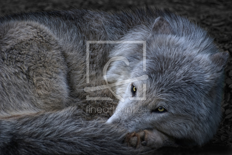 frei w&auml;hlbarer Bildausschnitt f&uuml;r Ihr Bild auf Tapete