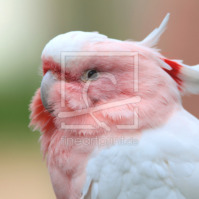 frei wählbarer Bildausschnitt für Ihr Bild auf Tapete