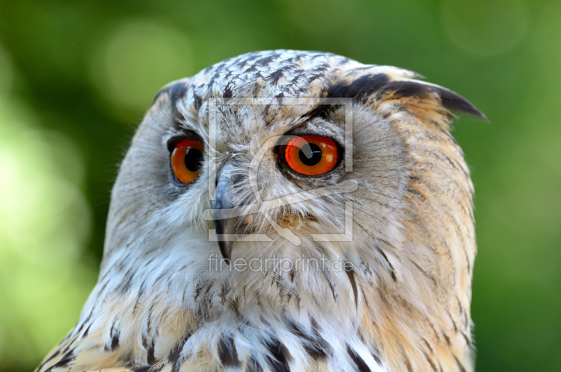 frei w&auml;hlbarer Bildausschnitt f&uuml;r Ihr Bild auf Tapete