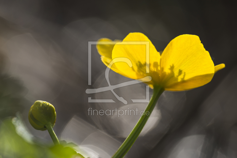 frei w&auml;hlbarer Bildausschnitt f&uuml;r Ihr Bild auf Tapete