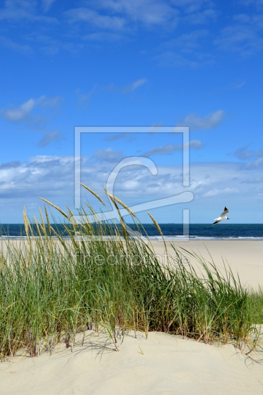 frei w&auml;hlbarer Bildausschnitt f&uuml;r Ihr Bild auf Tapete