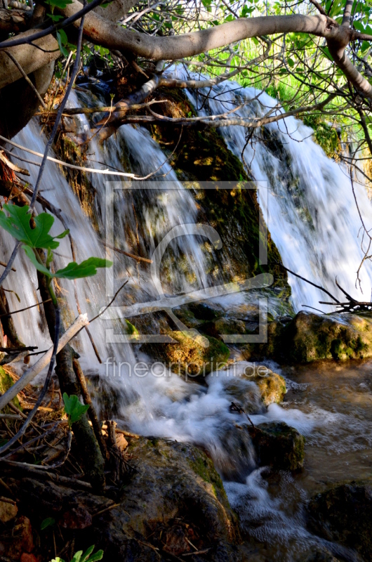 frei wählbarer Bildausschnitt für Ihr Bild auf Tapete