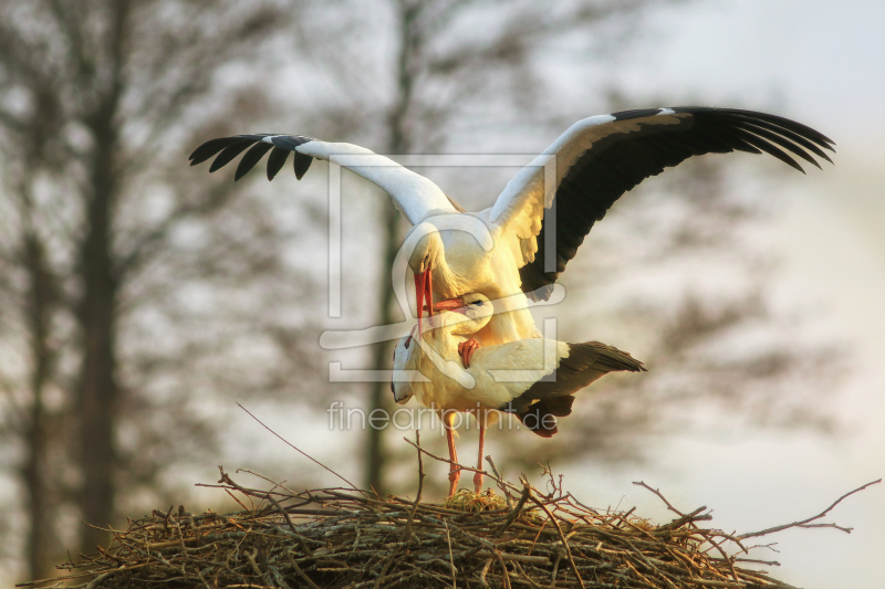frei wählbarer Bildausschnitt für Ihr Bild auf Tapete
