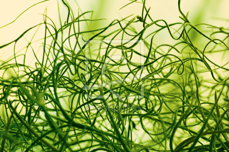 frei w&auml;hlbarer Bildausschnitt f&uuml;r Ihr Bild auf Tapete