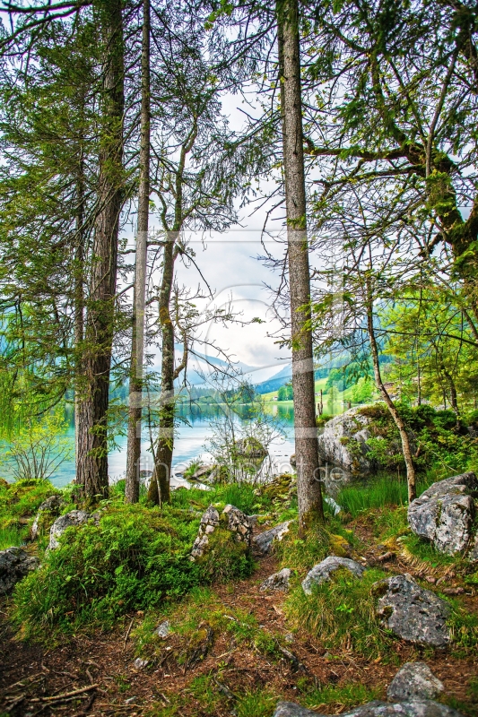 frei wählbarer Bildausschnitt für Ihr Bild auf Tapete