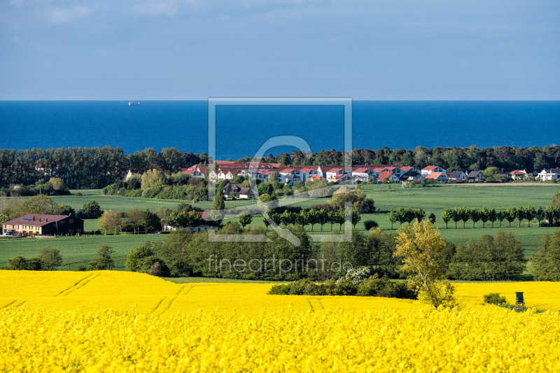 frei wählbarer Bildausschnitt für Ihr Bild auf Tapete