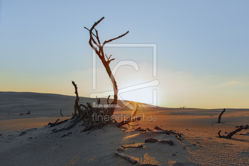 frei w&auml;hlbarer Bildausschnitt f&uuml;r Ihr Bild auf Tapete