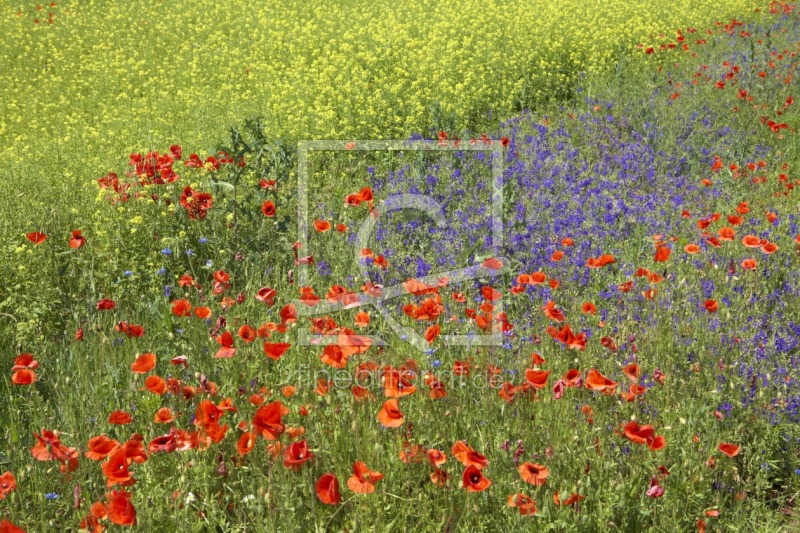 frei w&auml;hlbarer Bildausschnitt f&uuml;r Ihr Bild auf Tapete