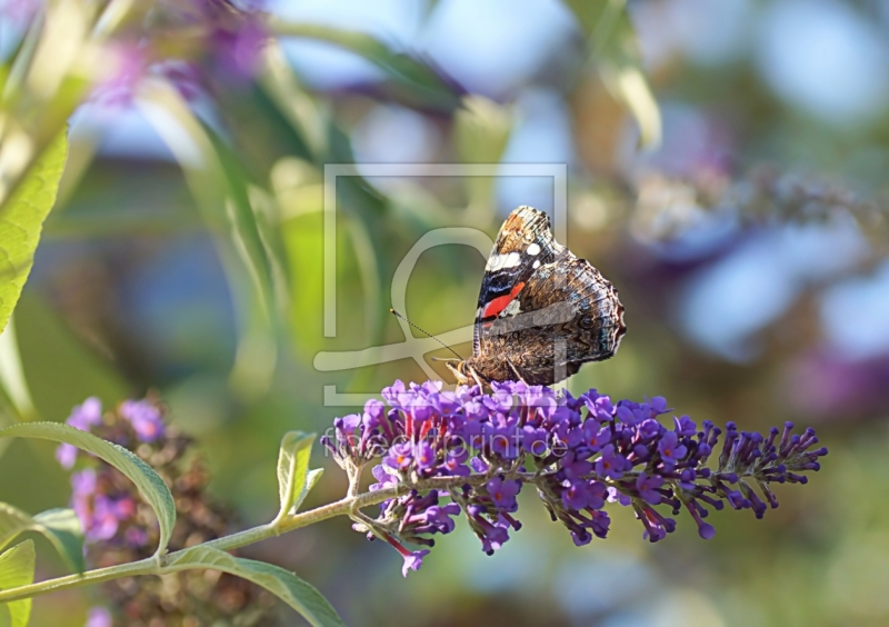frei wählbarer Bildausschnitt für Ihr Bild auf Tapete
