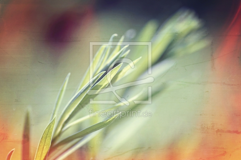 frei w&auml;hlbarer Bildausschnitt f&uuml;r Ihr Bild auf Tapete