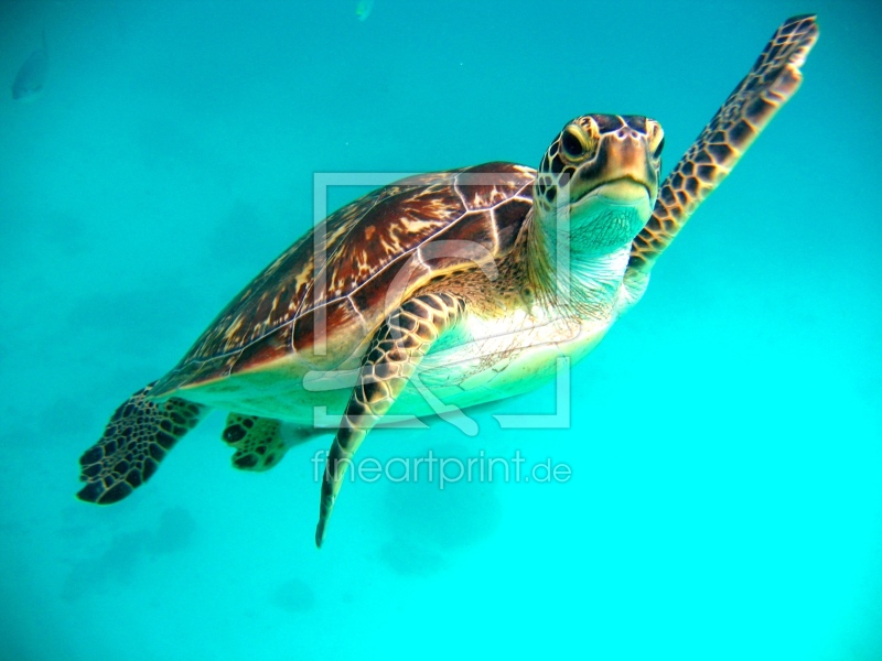 frei w&auml;hlbarer Bildausschnitt f&uuml;r Ihr Bild auf Tapete