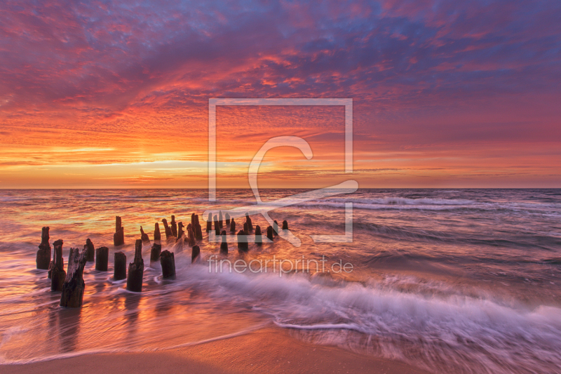 frei w&auml;hlbarer Bildausschnitt f&uuml;r Ihr Bild auf Tapete