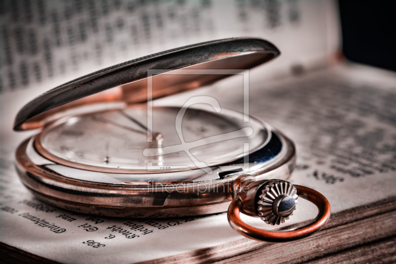 frei wählbarer Bildausschnitt für Ihr Bild auf Tapete