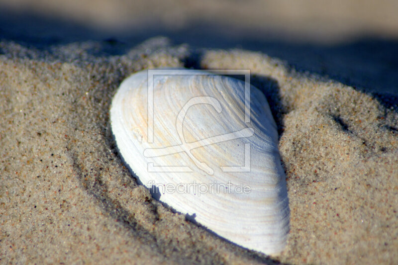 frei wählbarer Bildausschnitt für Ihr Bild auf Tapete