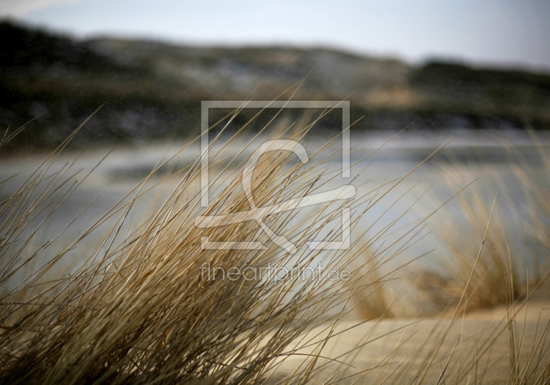 frei wählbarer Bildausschnitt für Ihr Bild auf Tapete