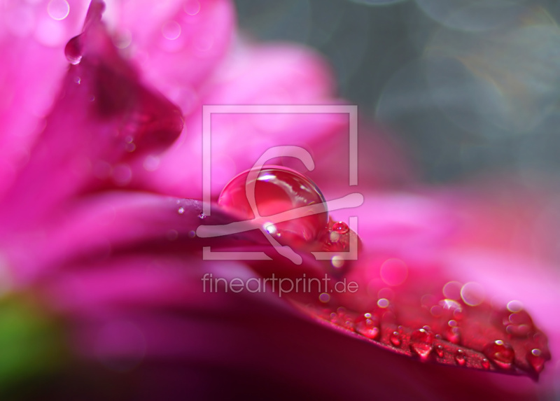 frei wählbarer Bildausschnitt für Ihr Bild auf Tapete