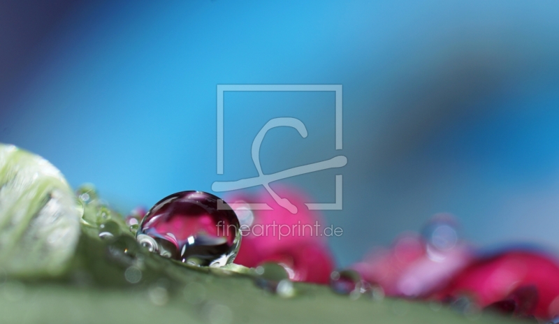 frei wählbarer Bildausschnitt für Ihr Bild auf Tapete