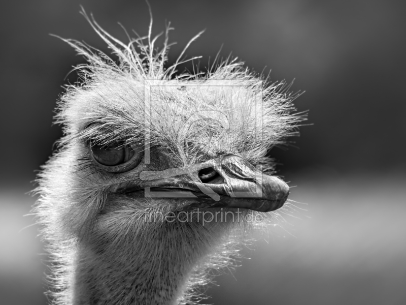 frei w&auml;hlbarer Bildausschnitt f&uuml;r Ihr Bild auf Tapete