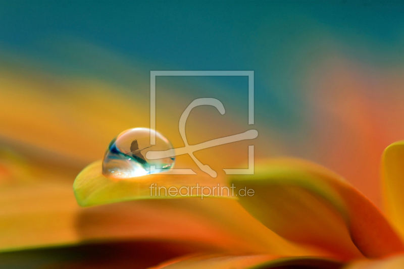 frei wählbarer Bildausschnitt für Ihr Bild auf Tapete