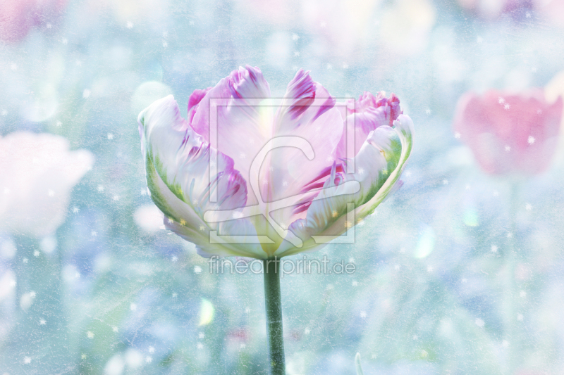 frei wählbarer Bildausschnitt für Ihr Bild auf Tapete