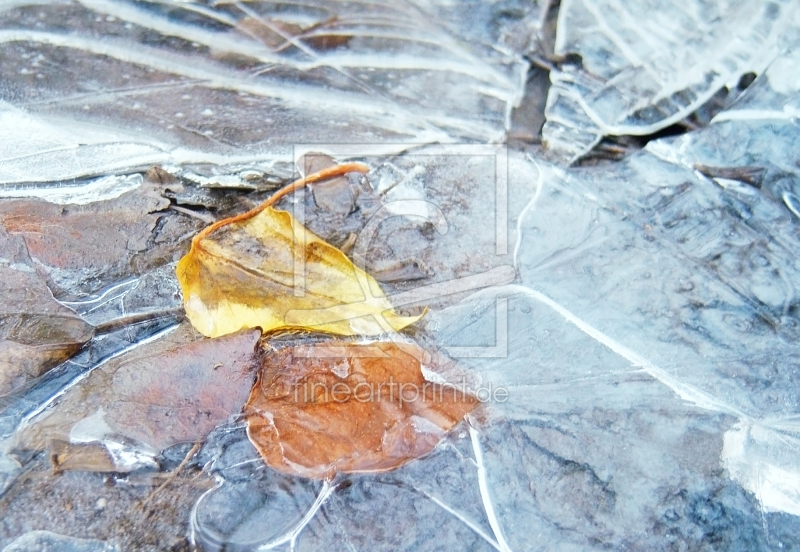 frei wählbarer Bildausschnitt für Ihr Bild auf Tapete