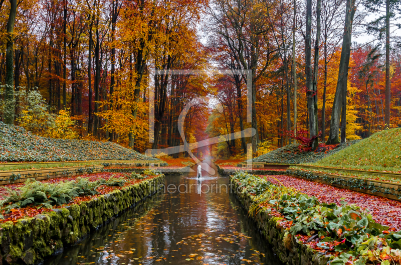 frei wählbarer Bildausschnitt für Ihr Bild auf Tapete