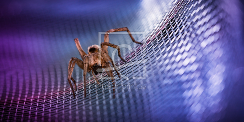 frei wählbarer Bildausschnitt für Ihr Bild auf Tapete