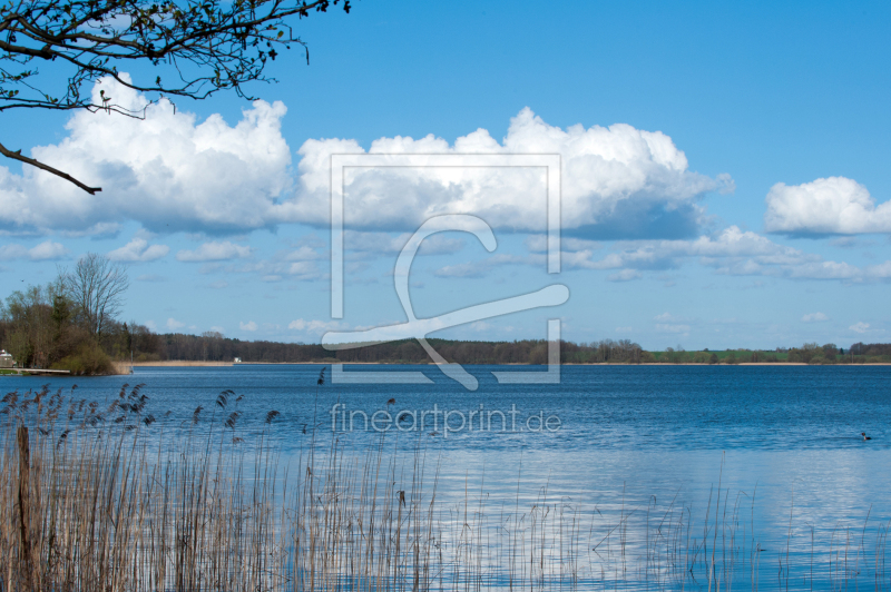 frei wählbarer Bildausschnitt für Ihr Bild auf Tapete