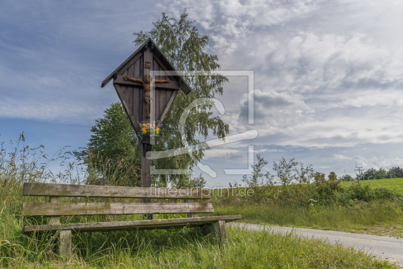 frei wählbarer Bildausschnitt für Ihr Bild auf Tapete
