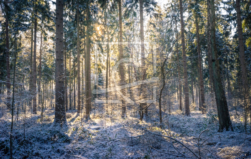 frei wählbarer Bildausschnitt für Ihr Bild auf Tapete
