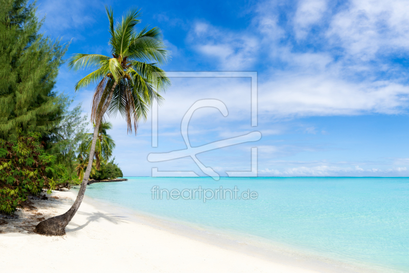 frei w&auml;hlbarer Bildausschnitt f&uuml;r Ihr Bild auf Tapete