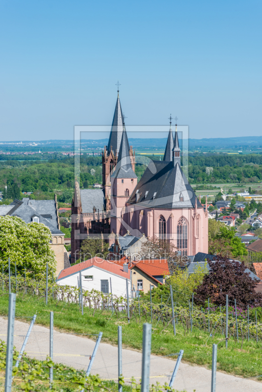 frei wählbarer Bildausschnitt für Ihr Bild auf Tapete