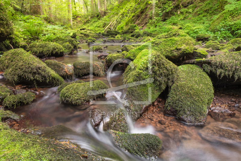 frei w&auml;hlbarer Bildausschnitt f&uuml;r Ihr Bild auf Tapete