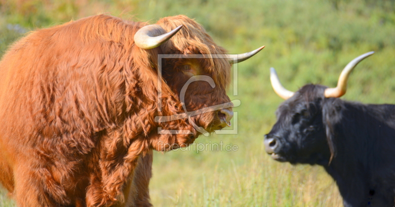 frei wählbarer Bildausschnitt für Ihr Bild auf Tapete