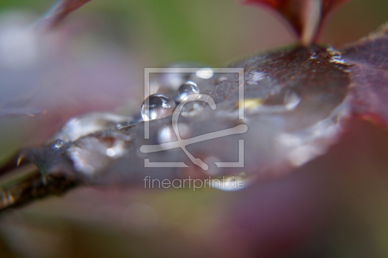 frei w&auml;hlbarer Bildausschnitt f&uuml;r Ihr Bild auf Tapete