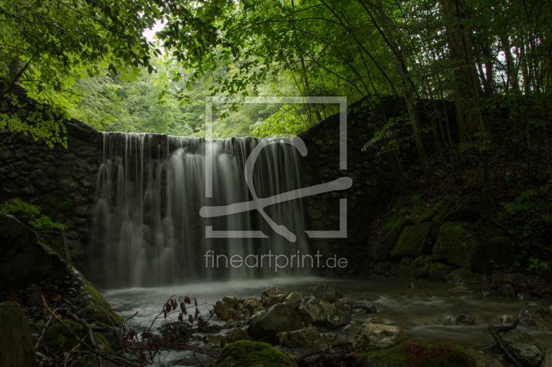 frei wählbarer Bildausschnitt für Ihr Bild auf Tapete