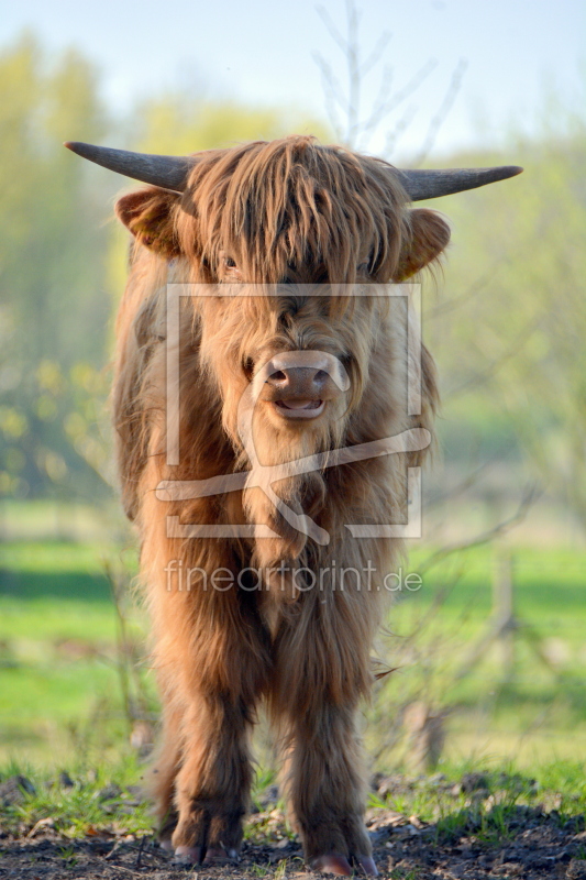 frei wählbarer Bildausschnitt für Ihr Bild auf Tapete