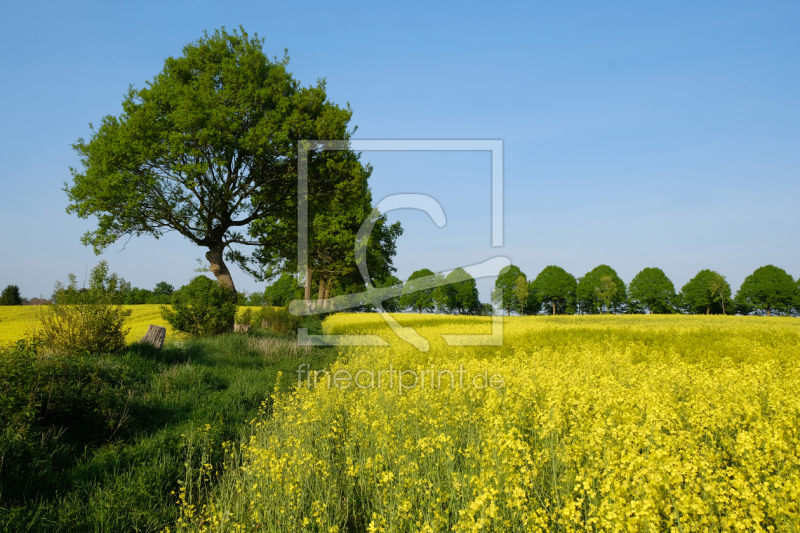 frei wählbarer Bildausschnitt für Ihr Bild auf Tapete