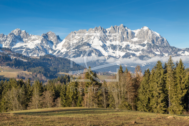 frei wählbarer Bildausschnitt für Ihr Bild auf Tapete