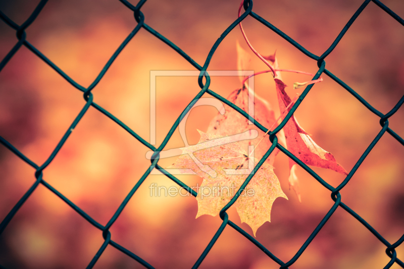 frei w&auml;hlbarer Bildausschnitt f&uuml;r Ihr Bild auf Tapete