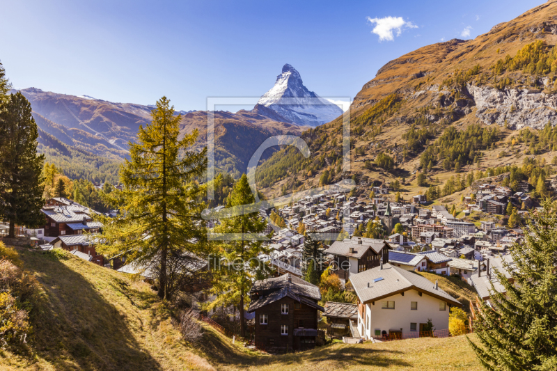 frei wählbarer Bildausschnitt für Ihr Bild auf Tapete