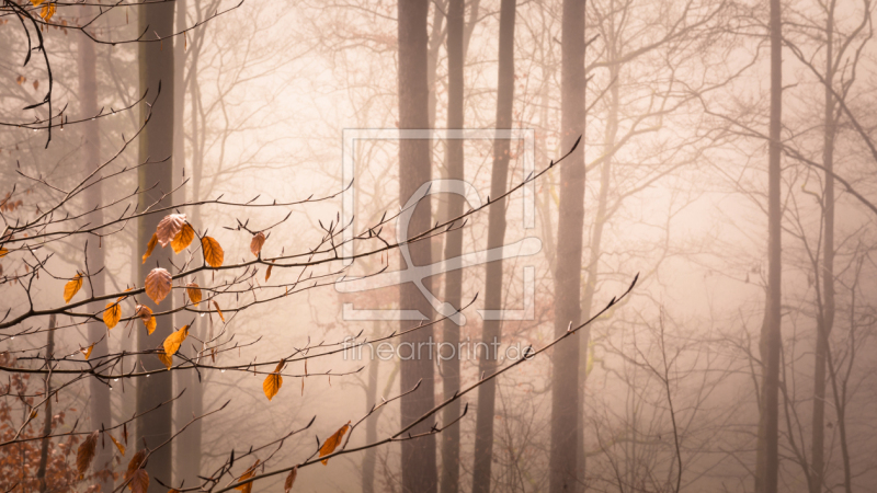 frei wählbarer Bildausschnitt für Ihr Bild auf Tapete