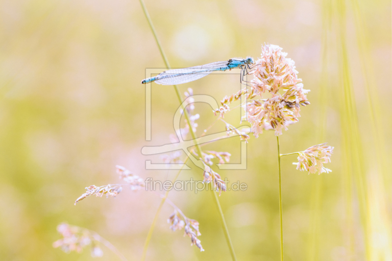 frei wählbarer Bildausschnitt für Ihr Bild auf Tapete
