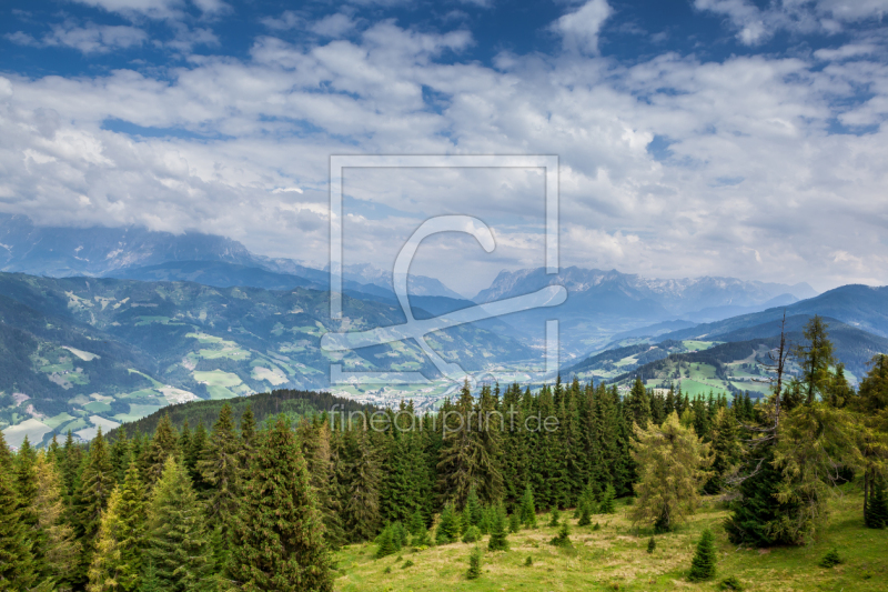 frei wählbarer Bildausschnitt für Ihr Bild auf Tapete