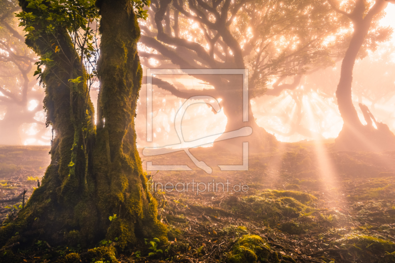 frei w&auml;hlbarer Bildausschnitt f&uuml;r Ihr Bild auf Tapete