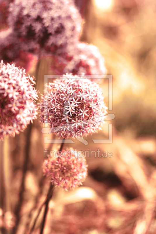 frei w&auml;hlbarer Bildausschnitt f&uuml;r Ihr Bild auf Tapete