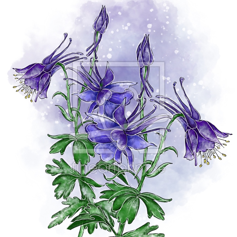 frei w&auml;hlbarer Bildausschnitt f&uuml;r Ihr Bild auf Tapete