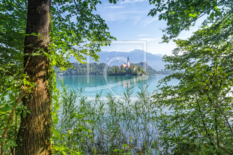 frei wählbarer Bildausschnitt für Ihr Bild auf Tapete