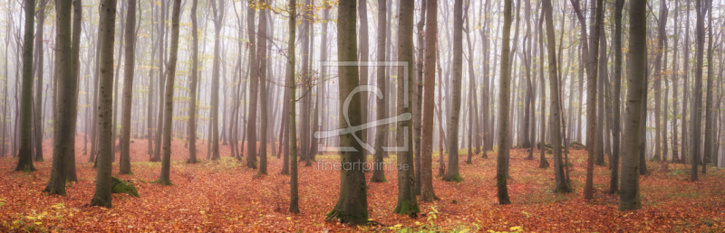 frei w&auml;hlbarer Bildausschnitt f&uuml;r Ihr Bild auf Tapete