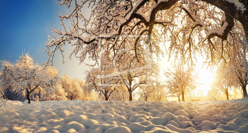 frei w&auml;hlbarer Bildausschnitt f&uuml;r Ihr Bild auf Tapete